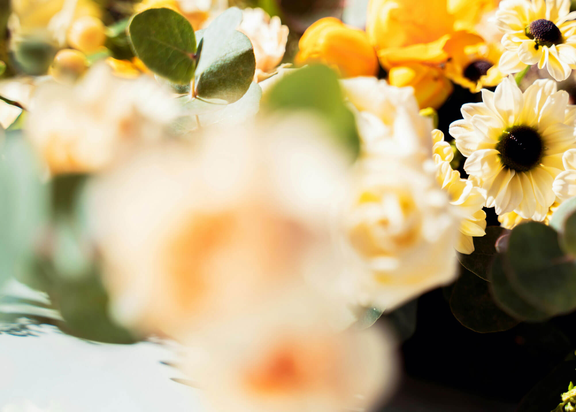 Why I Don't Shoot Weddings (And What I Shoot Instead)